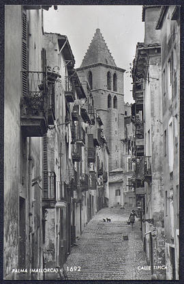 image 01