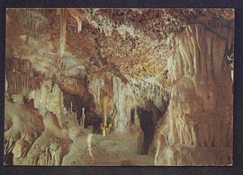image 01
