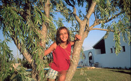 Nina a un arbre