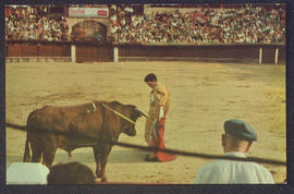 image 01