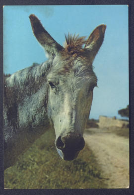 image 01