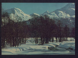 image 01