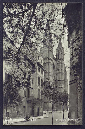 image 01