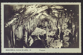 image 01