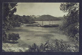 image 01