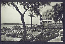image 01