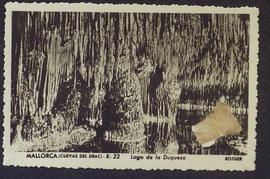 image 01