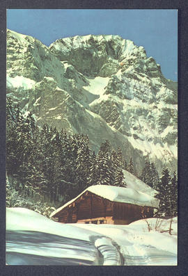image 01