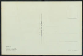 image 02