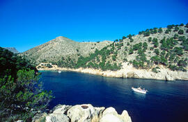 Cala Murta, Formentor
