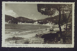 image 01