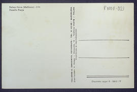 image 02