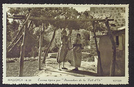 image 01