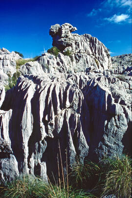 Serra de Tramuntana. Zona càrstica prop de Lluc. Escorca