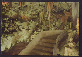 image 01