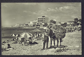image 01