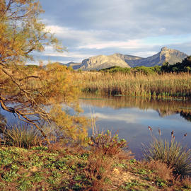 Torrent de na Borges
