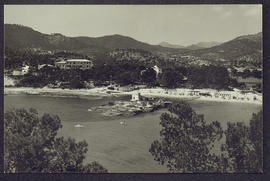 image 01