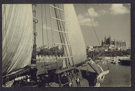 image 01