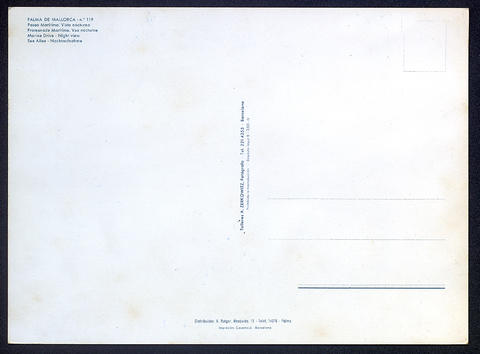 Original Objecte digital not accessible