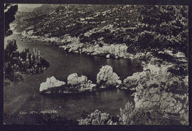 image 01