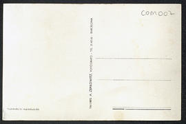 image 02