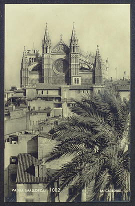 image 01
