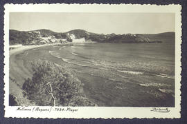 image 01