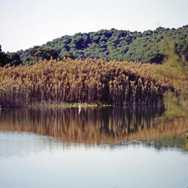 Torrent de na Borges
