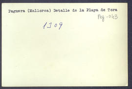 image 02