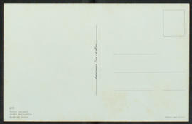 image 02