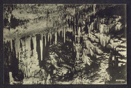 image 01