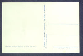 image 02