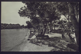 image 01
