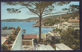image 01