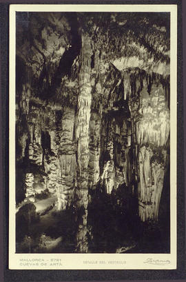 image 01