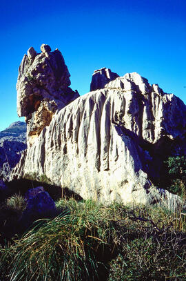 Serra de Tramuntana. Zona càrstica prop de Lluc. Escorca