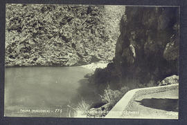 image 01