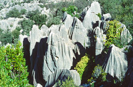 Serra de Tramuntana. Zona càrstica prop de Lluc. Escorca
