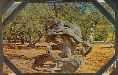 Original Objecte digital not accessible