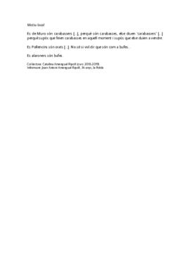 MotiuLocal_JAAR.pdf