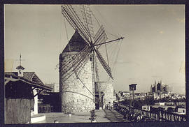 image 01