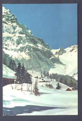 image 01