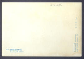 image 02