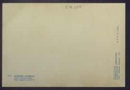 image 02