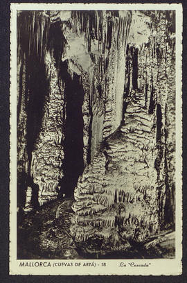 image 01