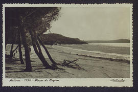 image 01