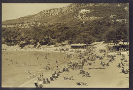 image 01