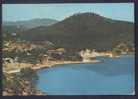 image 01