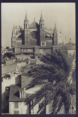 image 01